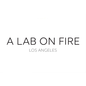 A Lab On Fire